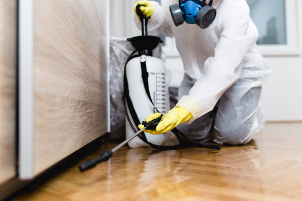 Pest Control for Restaurants in Spring Grove, IL