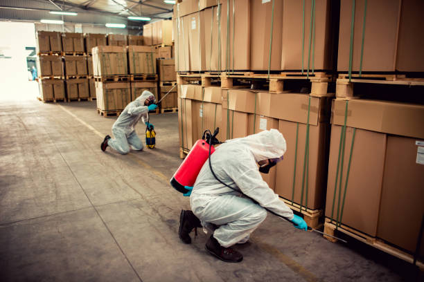 Best Pest Prevention Services  in Spring Grove, IL