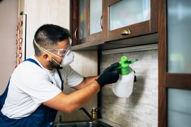 Best Mosquito Control Services  in Spring Grove, IL