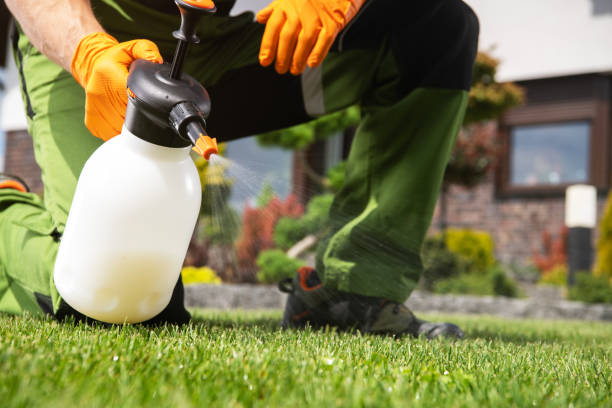 Best Rat Extermination Near Me  in Spring Grove, IL