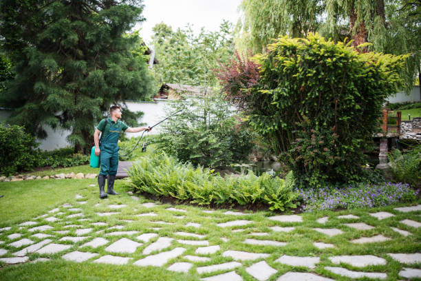 Best Pest Control Treatment  in Spring Grove, IL
