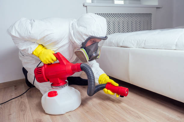 Best Best Pest Control Companies  in Spring Grove, IL