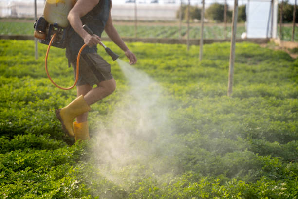 Insect Control in Spring Grove, IL