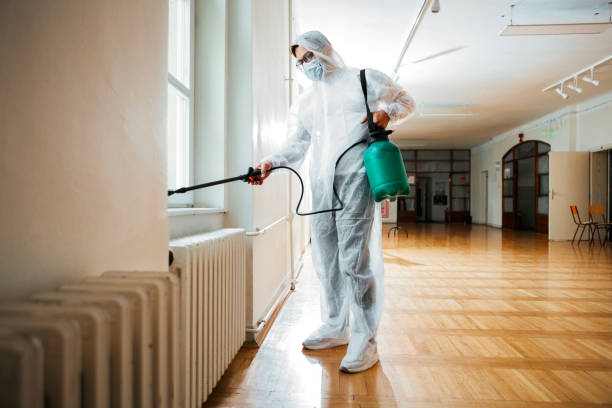 Best Pest Control Near Me in Spring Grove, IL