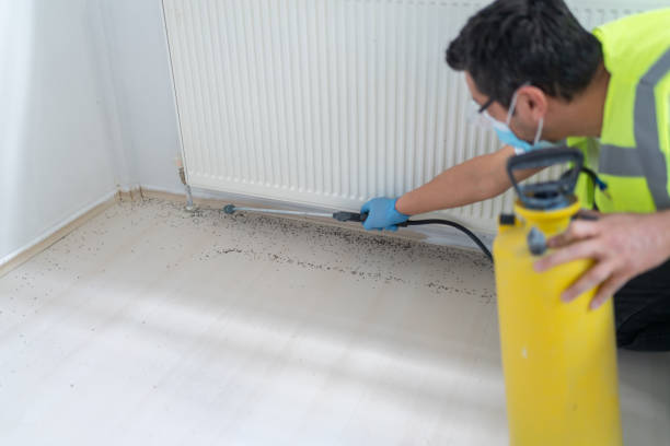 Best Local Pest Control Services  in Spring Grove, IL