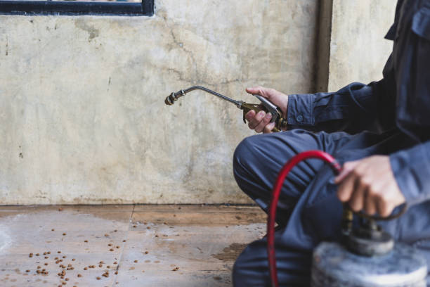 Best Flea Control Services  in Spring Grove, IL