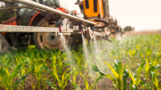 Best Pest Control Cost  in Spring Grove, IL